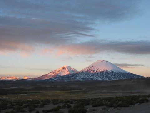 Parinacota