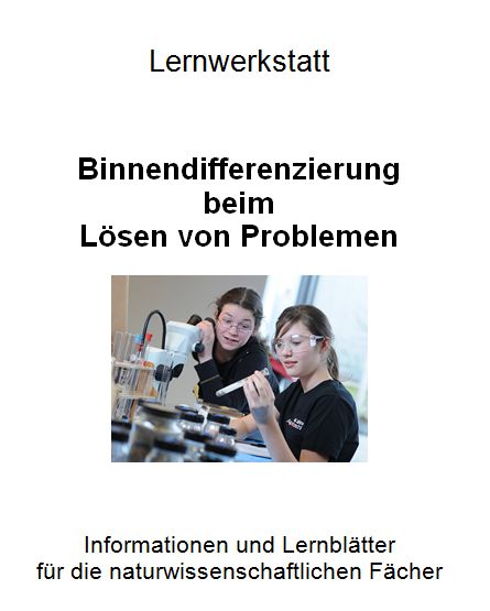 Lernwerkstatt Problemlösen